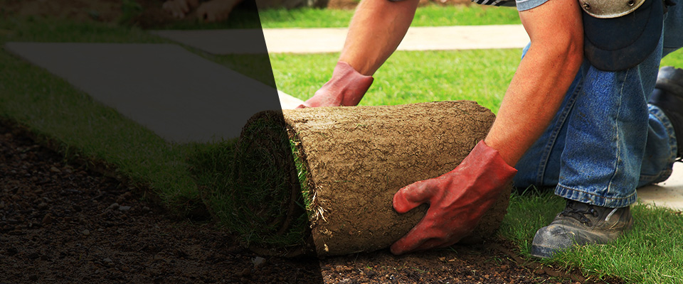 East Moriches Landscapers